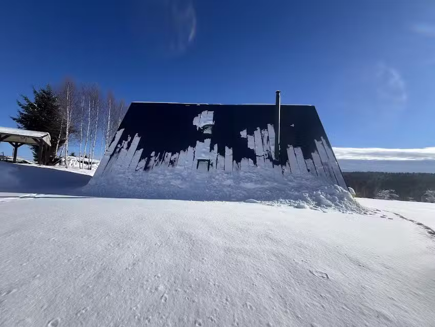 A Friendly Cabin