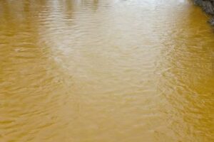 Agropensiunea Casa POP