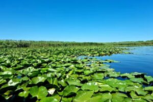 Agropensiunea Casa Uncu