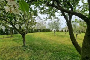 Agropensiunea Casa Voinea