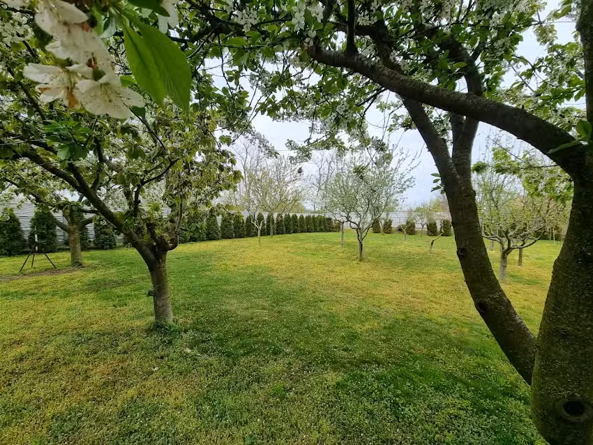 Agropensiunea Casa Voinea