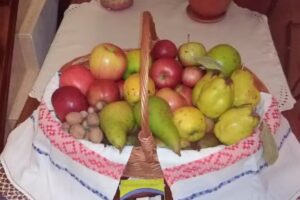 Agropensiunea Gabriel