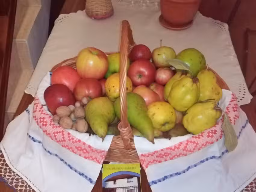 Agropensiunea Gabriel