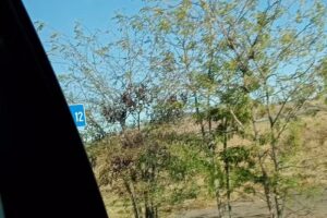 Agropensiunea Livada lui Cezar și Rares