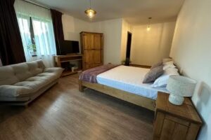 Agropensiunea Old River