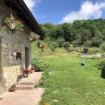 Agropensiunea Rafila