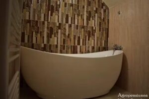 Agropensiunea Valea Sireului