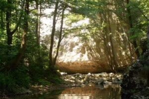 Agroturism Mada Paradiso