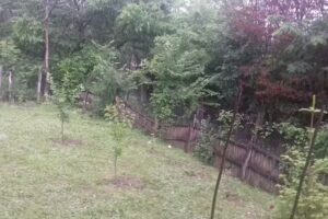 Almatar Country House