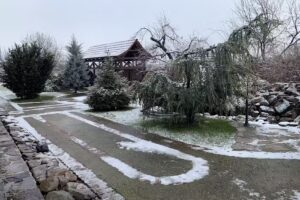 Amazing Cottage Home