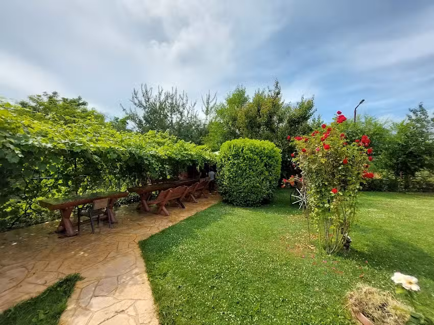 Andrei Râmnicu-Vâlcea