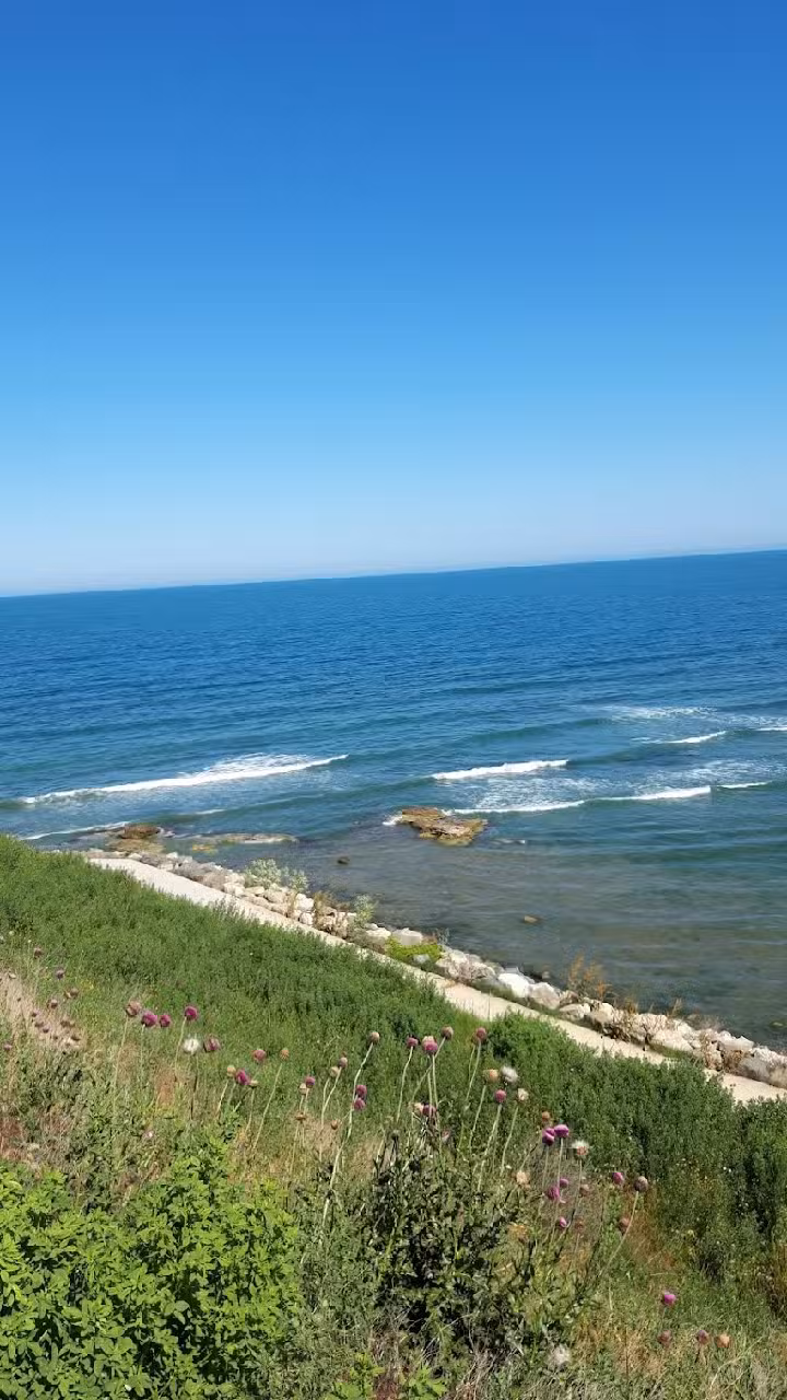 Ansamblul de locuinte PARADISUL FLORILOR din cadrul complexului rezidential PARADISUL VERDE