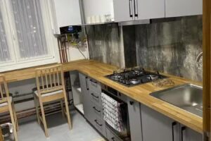 Apartament Botiș – regim hotelier