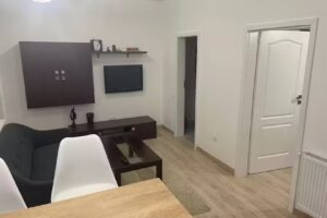 Apartament centrul vechi Baia Mare