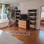 Apartament Diana Busteni