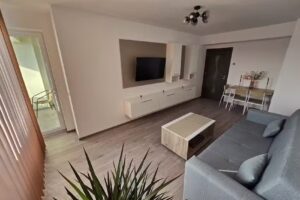 Apartament Tazlaului – Apartament regim hotelier