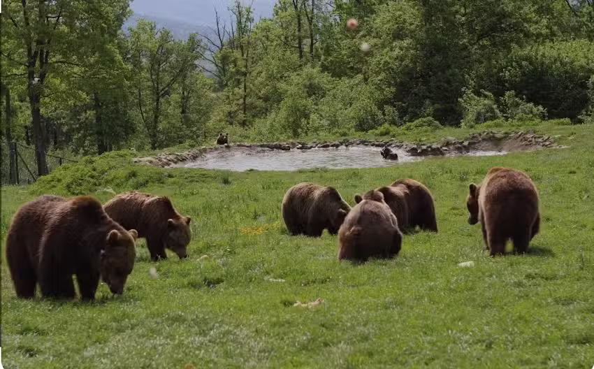 Apartament Zarnesti City Center VMP