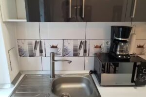 APARTAMENTE TURISTICE BAILE HERCULANE