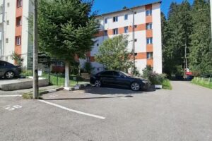 Aviliz Apartament Busteni