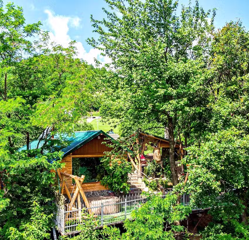 Bârlogul Vikingilor