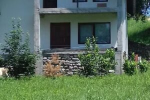 Baza sportiva International Lazar Company