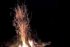 Bega Poieni Fishing Lodge