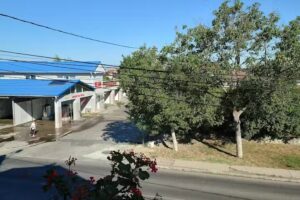 BELA & MARIO Guest House