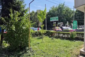 Belle Apartments – Central