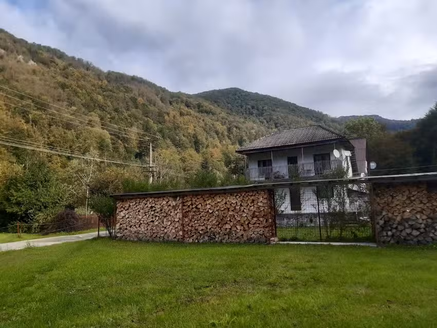 Boga Gyöngye (Perla Boghii)