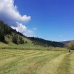 Boglárka Vendégház