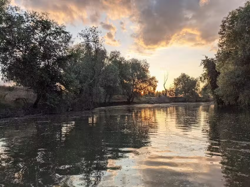 Brachi Shipping and Trading co srl