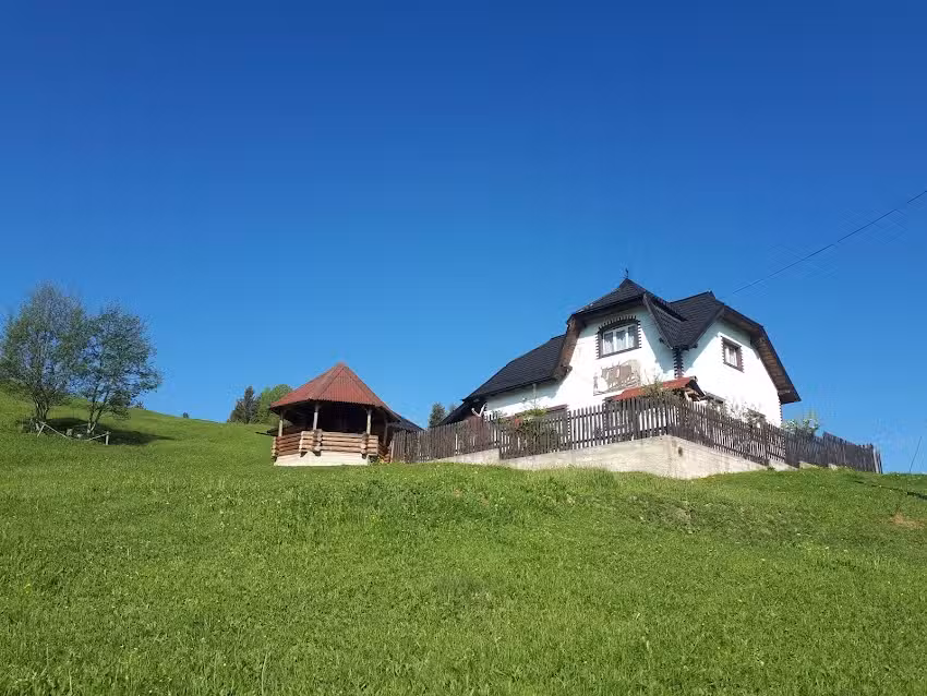 Bucovina Mea