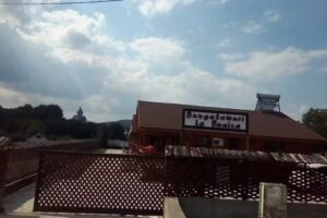 BUNGALOWURI LA BUNICA