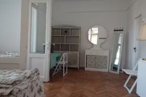 Buricul Targului Hostel