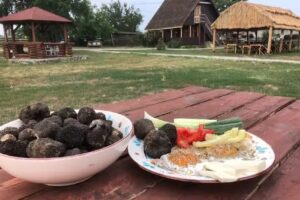 Butoaiele de la Răstoaca