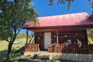 Cabana „2 Pui” – Stărineac