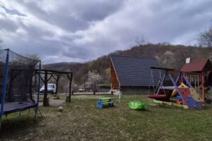 Cabana Aframe Olanesti