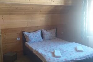 Cabana Alpin Sureanu