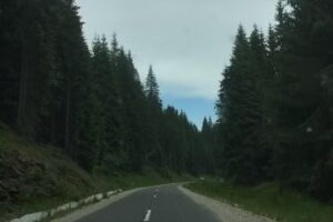 Cabana Apuseni Doda Pilii