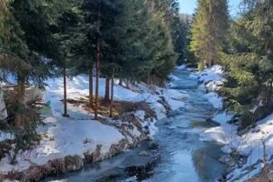 Cabana Armina&Andrei Arieseni