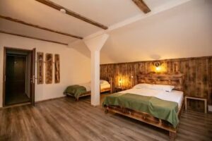 Cabana Bârlogul’ din Vidraru