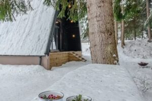 Cabana Black Raven Toplita