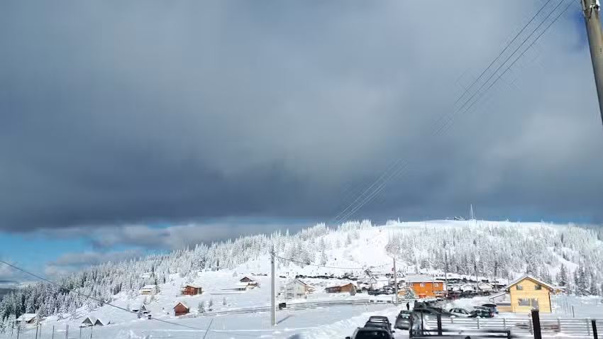 Cabana Buscat Cota „1600”