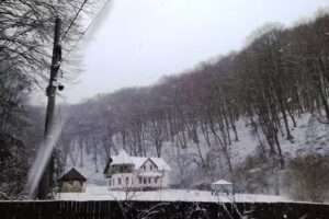 Cabana Caprioarei Sighisoara