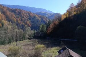 Cabana Cătun Fericit