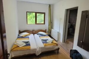 Cabana Cerbu Valea Minișului