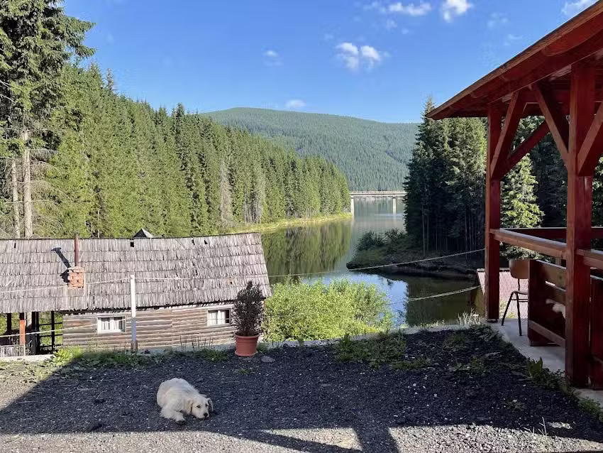 Cabana Cerbul