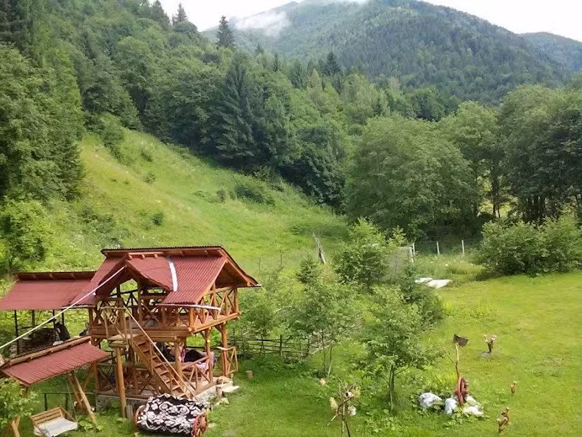 Cabana Cerbului Moisei