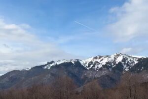 Cabana Cheia – Valea Stânii