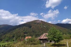 Cabana Coada Lacului